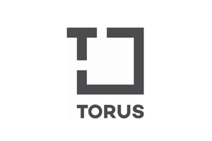 torus